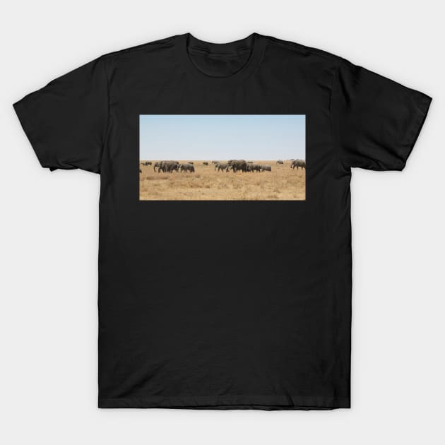 Elephant Herd, Serengeti, Tanzania T-Shirt by Carole-Anne